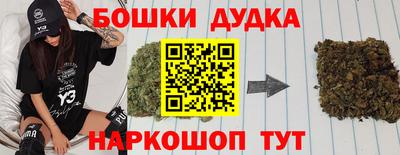 apvp Бийск