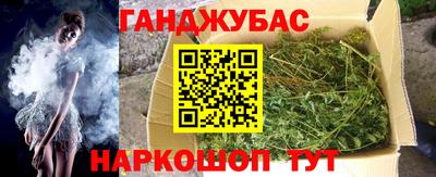 apvp Бийск