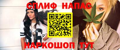 apvp Бийск
