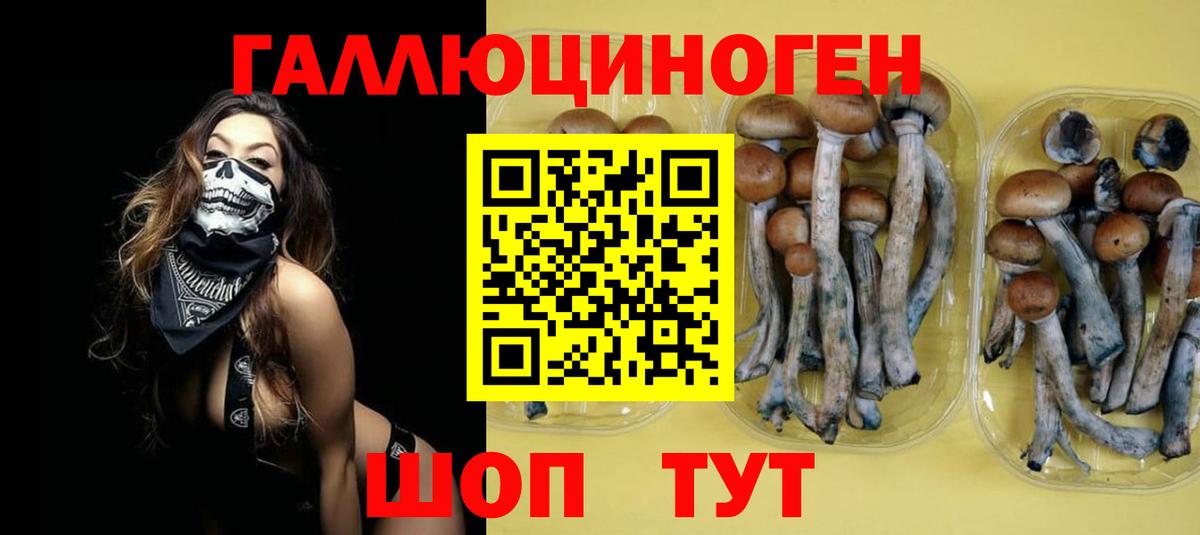 Псилоцибиновые грибы GOLDEN TEACHER  Вход с VPN  Псилоцибиновые грибы Psilocybe  цена наркотик  Златоуст 